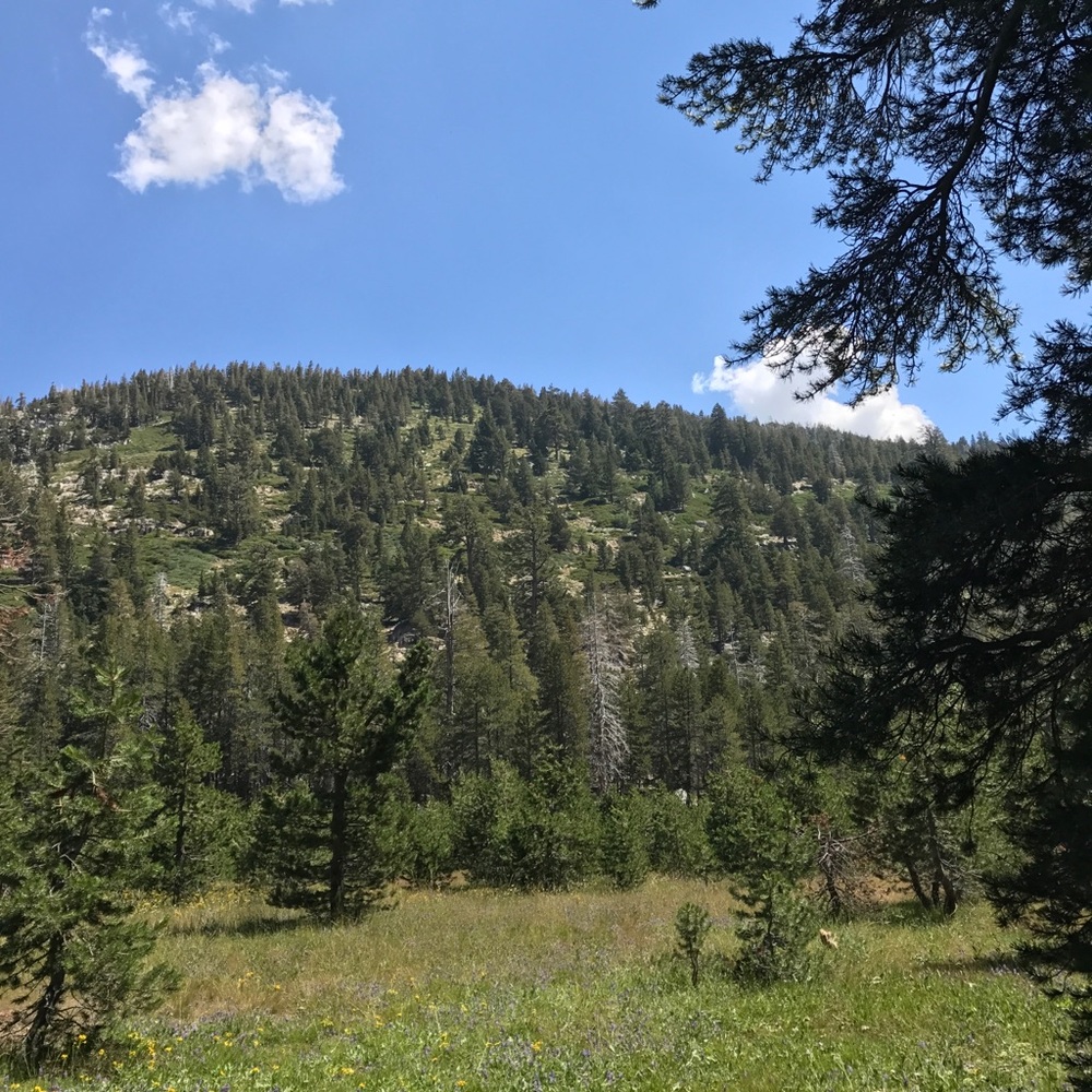 Meet your Posher, Briana